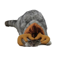 Load image into Gallery viewer, Cat Reindeer Headband Cap Xmas Costume